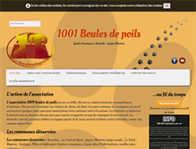 Tablet Screenshot of 1001boulesdepoils.com